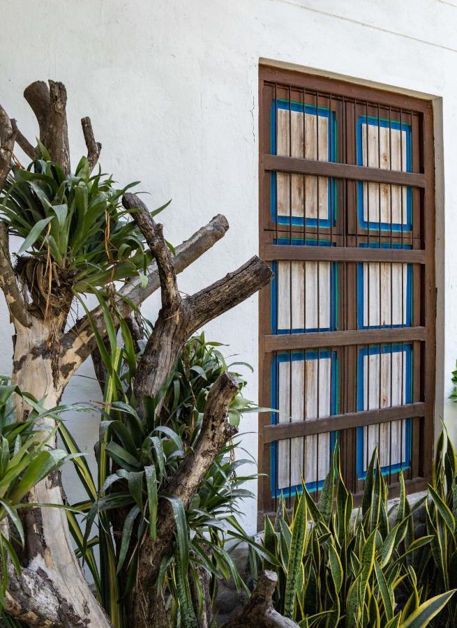 Casa Jacaranda Hotel Boutique - Cauca Viejo - Mayores De 14 Anos - Jericoc  Ngoại thất bức ảnh