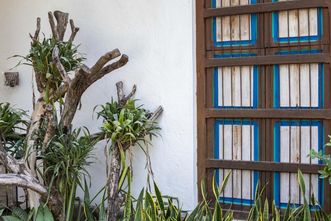Casa Jacaranda Hotel Boutique - Cauca Viejo - Mayores De 14 Anos - Jericoc  Ngoại thất bức ảnh