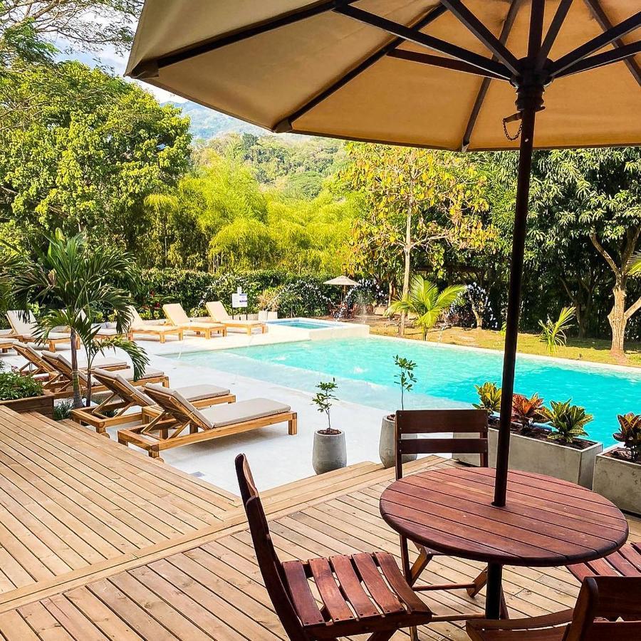 Casa Jacaranda Hotel Boutique - Cauca Viejo - Mayores De 14 Anos - Jericoc  Ngoại thất bức ảnh